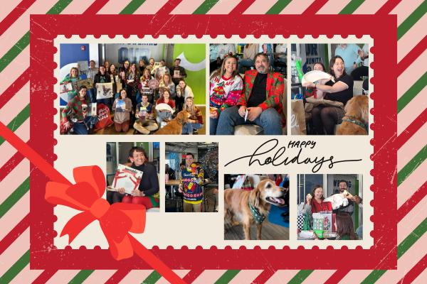 A festive holiday collage featuring a cheerful group of people, pets, and celebratory activities, framed with a red and green border.